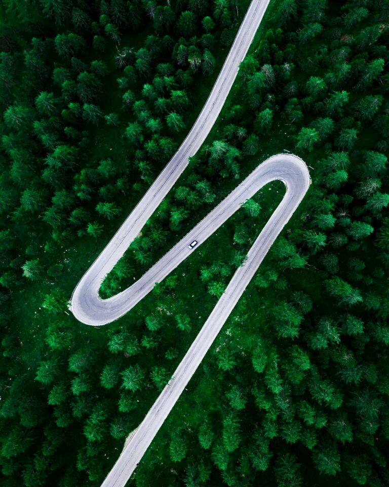 greener future mcd 768x960
